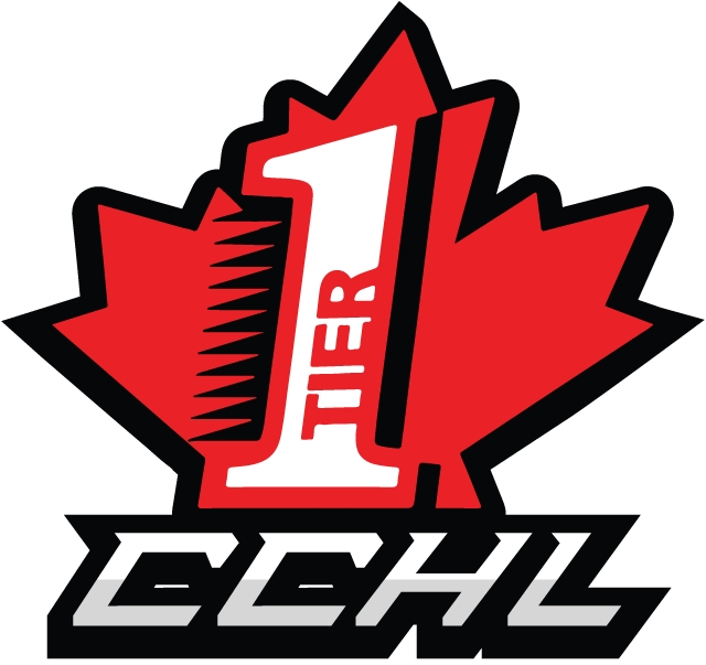 CCHL 2014-Pres Primary logo iron on heat transfer